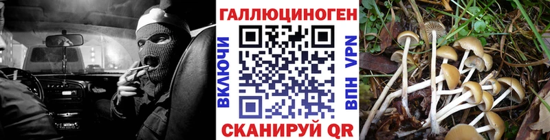 Галлюциногенные грибы GOLDEN TEACHER  Красноярск 